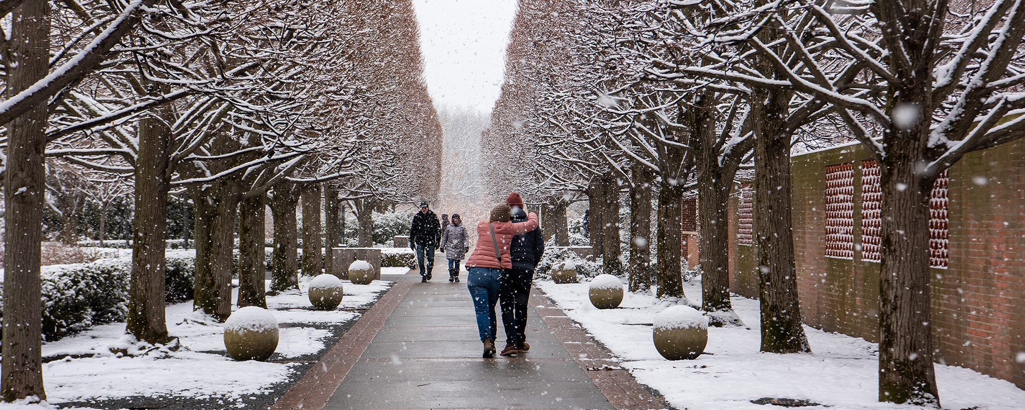 Photo: Discover Chicago Botanic Garden